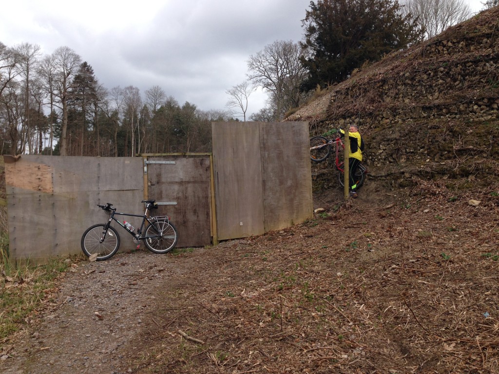 Susan's Bike going through the fence